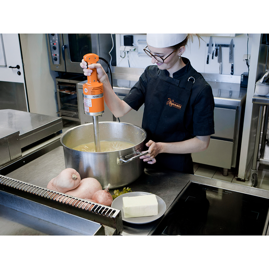 Dynamic Stabmixer Senior MX 300